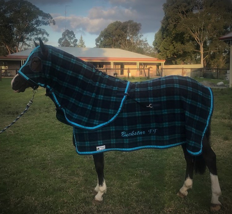 Kersey Wool Rug Winter Collection Camelot Horse Rugs